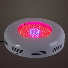 LED Growing Light