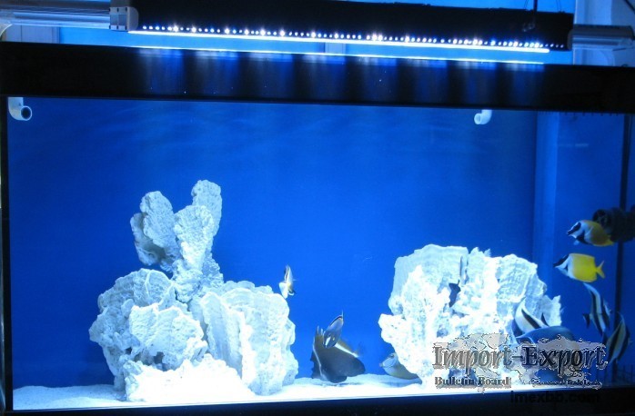 LED Aquarium