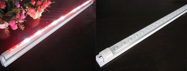 LED Growing Light