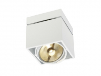 Opbouw AR111 Downlight | 315 x 175 | Met LED