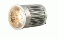 LED Spot (Interlight) | 12 Volt | 10 Watt | VV 60 Watt | Warm Wi