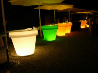 LED Verlichte | Gio Tondo Verlichte Monster Pot | 210 x 184 (D x