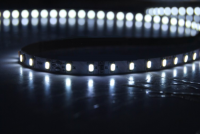 LEDware 3020 SMD LEDstrip | 12 Volt | 25 Watt | 300 LEDs | 5 Met