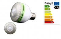 LED Peer | 230 Volt | 8 Watt | 540 Lumen | VV 60 Watt | Warm Wit