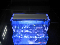 LED Aquarium Lamp | 12Watt | 283x69x9mm Cm | VV 48 Watt | Wit -